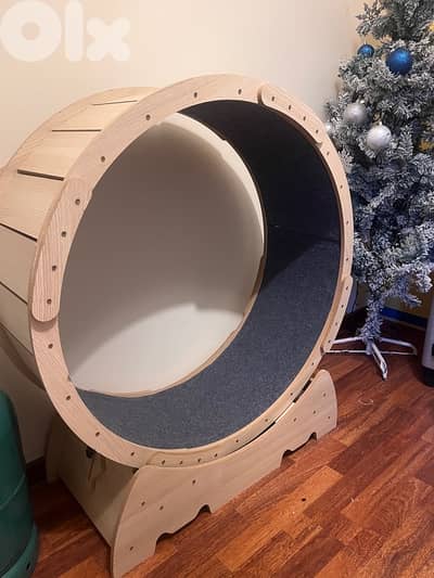 Cat Wheel Toy