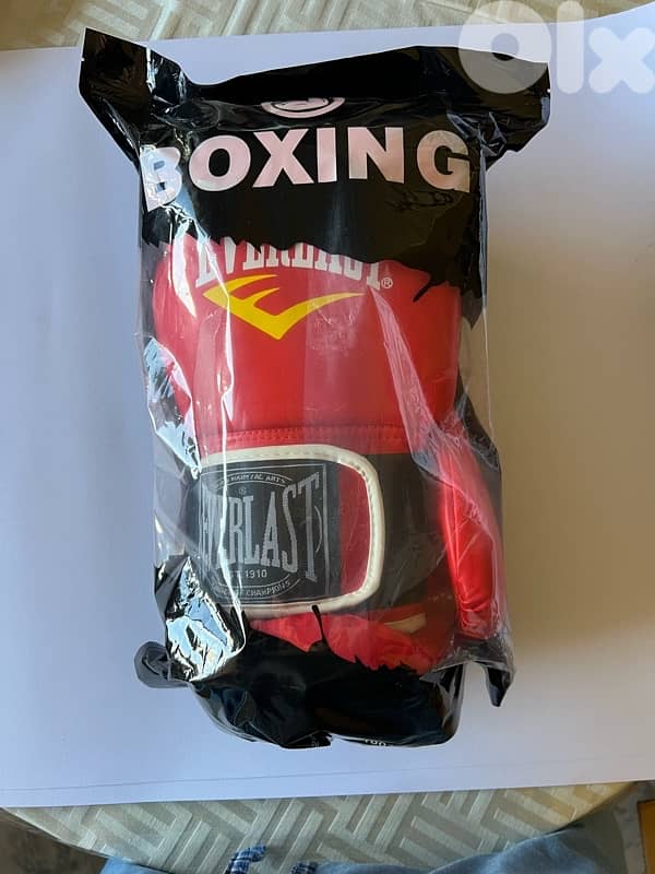 EVERLAST Boxing Gloves 4