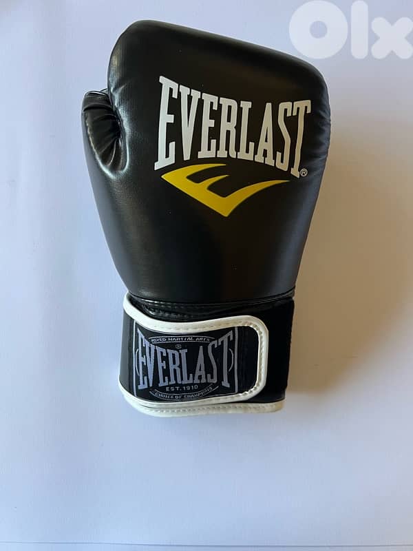 EVERLAST Boxing Gloves 1