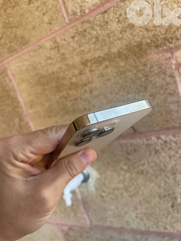 iphone 13 pro 1 terra 1