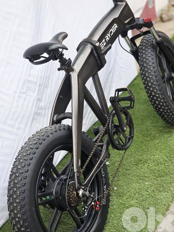 Cabroulat foldable E Bike lithium battery 48v 750W 8