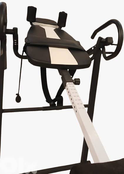 inversion table for back pain 2