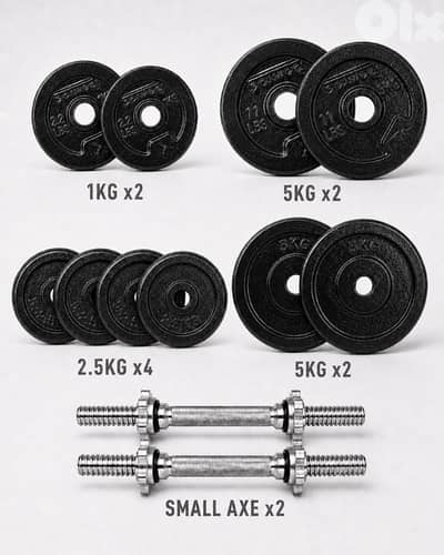 32Kg Cast Iron Weights Plates with 2 Dumbbells Bars