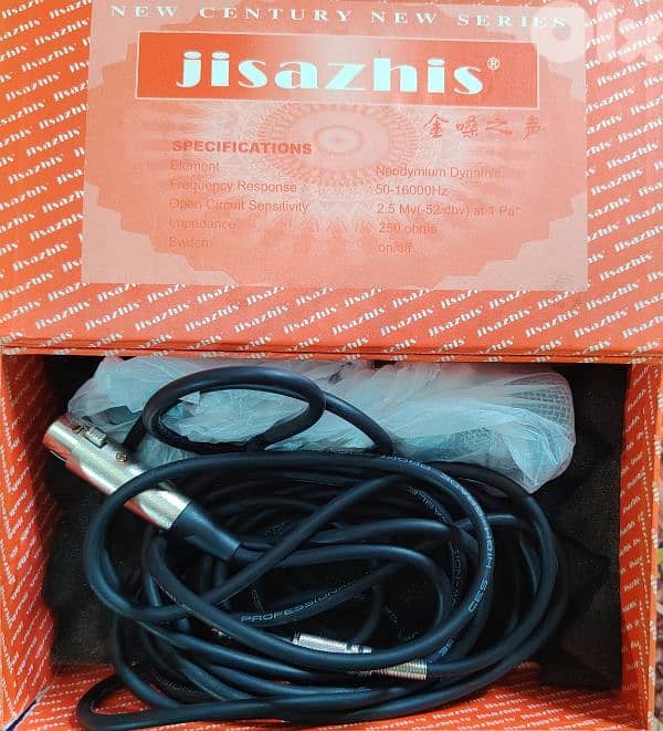 Professional Microphone 1