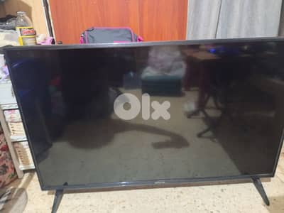 TV 50 inch