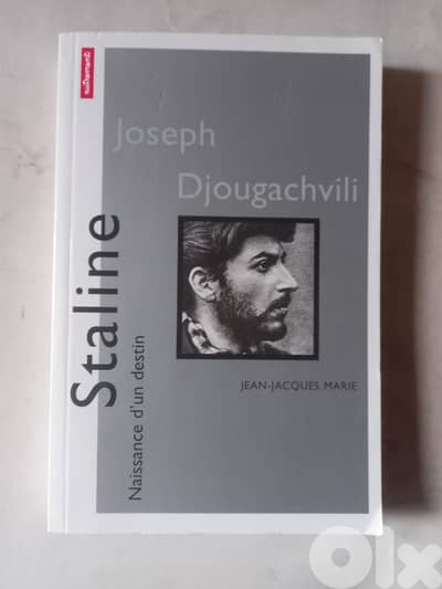 Staline : Naissance d'un destin by Jean-Jacques Marie, published in 19