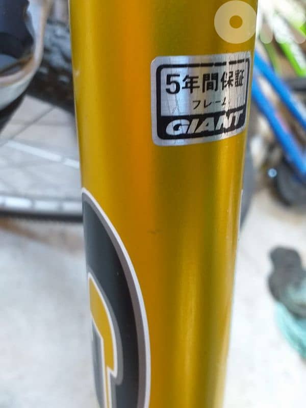 Giant Mtb 1