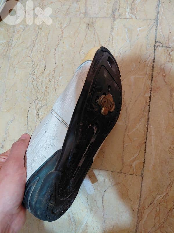 Cycling Shoes 1