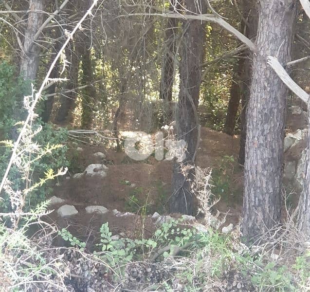 1585m2 Land in Bayada, Cornet chehwan 1