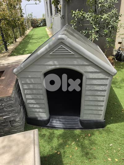 dog house
