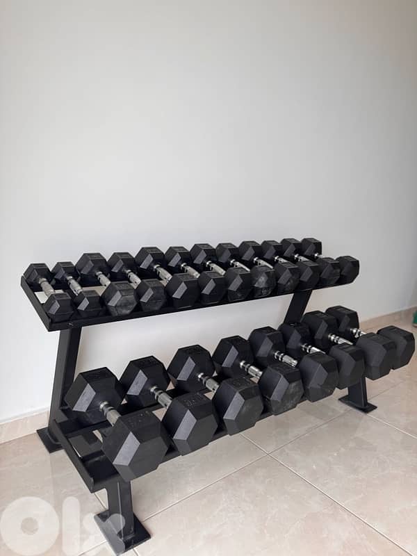 Dumbells and rack and bench 2