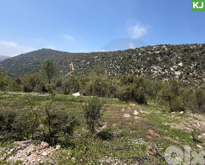 From saint charbel aanaya, jbeil hjoula / حجولا  REF#KJ135761