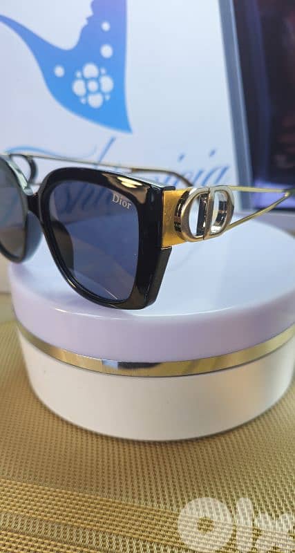 Dior Fancy Sunglasses 1