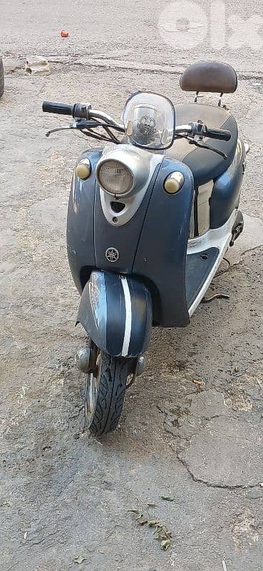 موتسيك vino