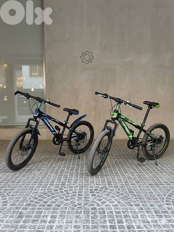 Phoenix special Bikes 2