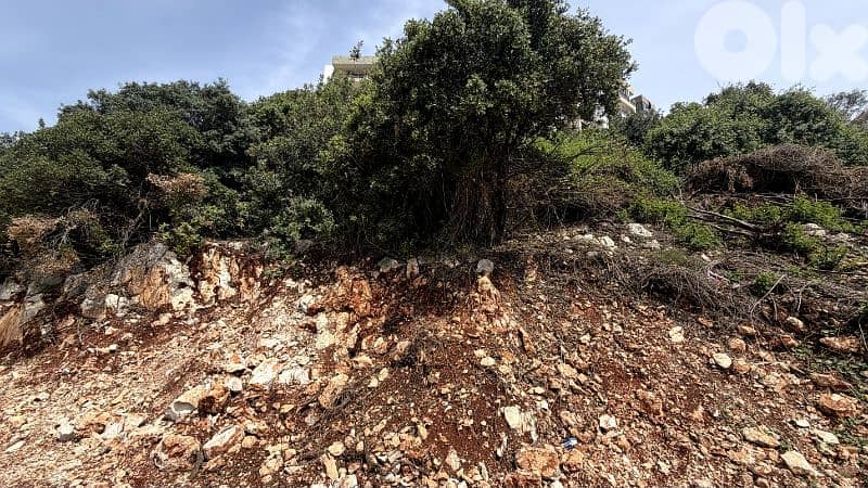 RWB371CA - Exclusive Land for sale in Kfaraabida Batroun 2