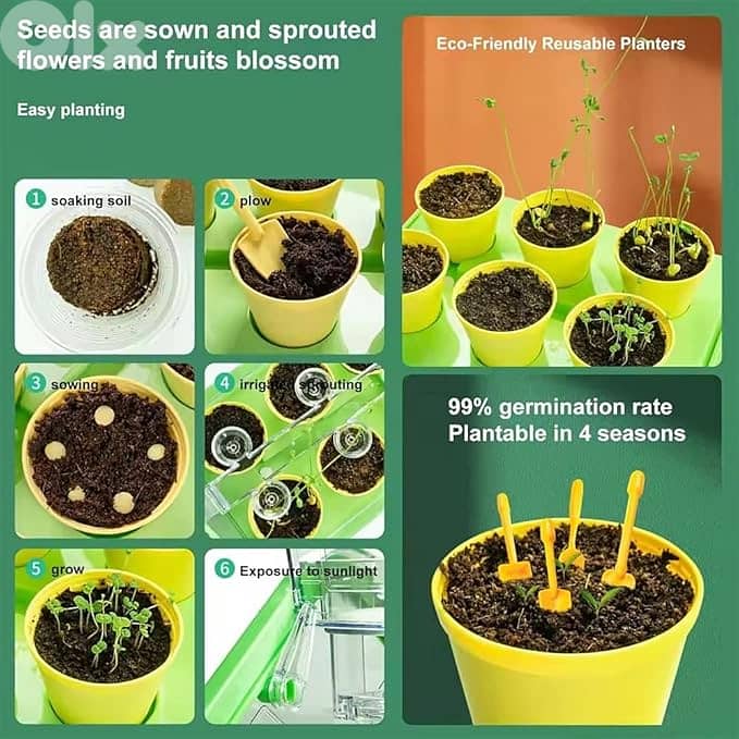 planting house Plant Cultivation Experiments at Home, Science Lessons, 2