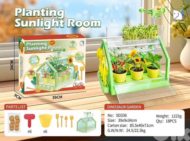 planting house Plant Cultivation Experiments at Home, Science Lessons, 3