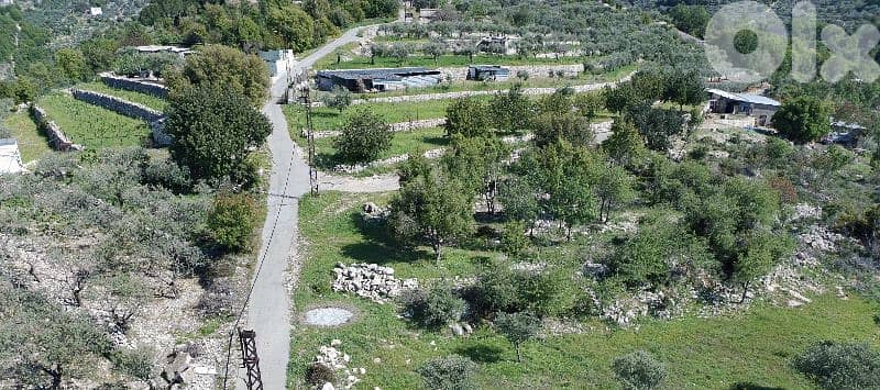 Lands for Sale in Sourat -Batroun 6