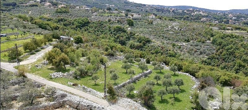 Lands for Sale in Sourat -Batroun 8