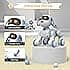 Remote Control Robot Dog Toy 5