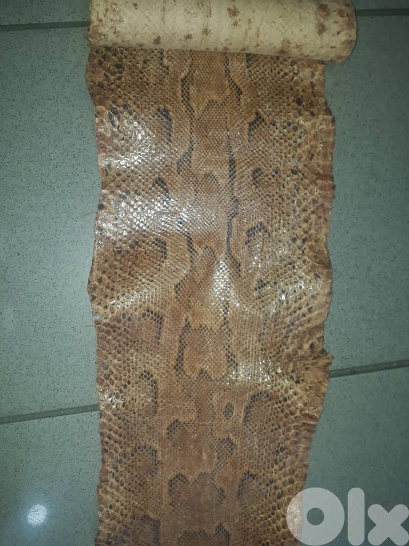leather 2 meter long 100 $ 1