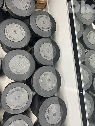 original technogym dumbell set