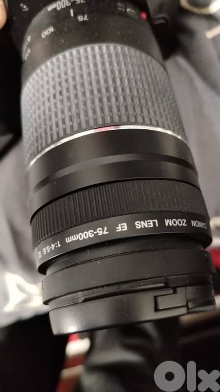 canon 30d30d 2