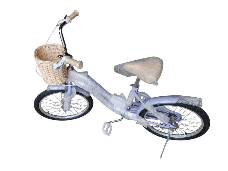 20 inch bicycle 2