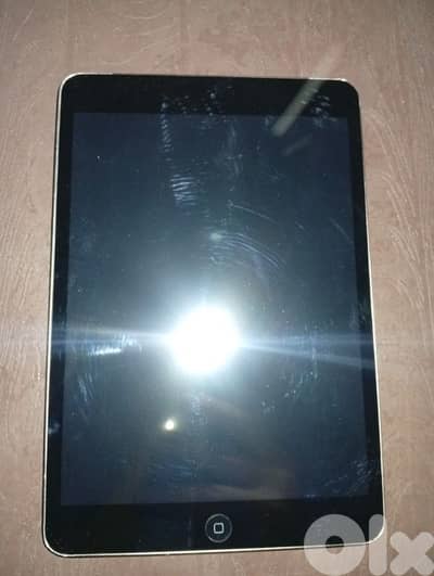 ipad mini 2