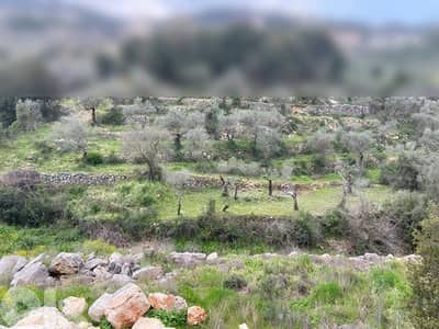 land for sale ارضً للبيع