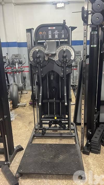 Fitness art brand lateral and chest
