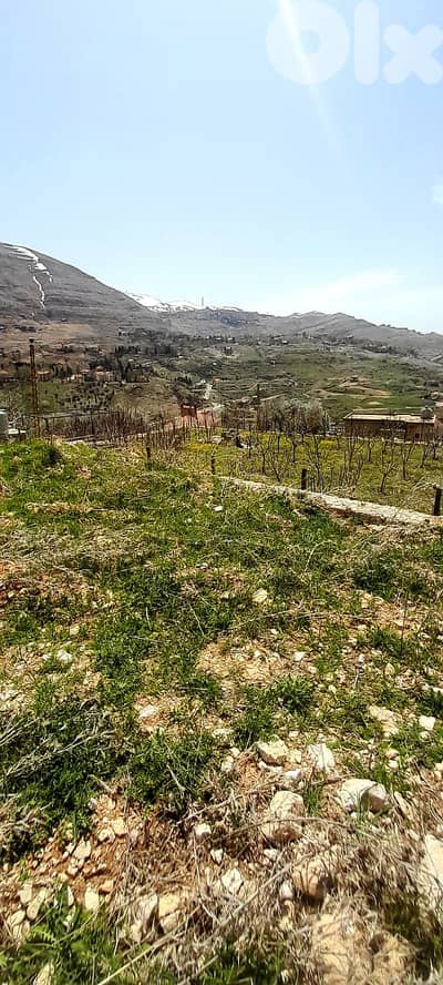 Land for sale in Farayaعقار للبيع في فاريا