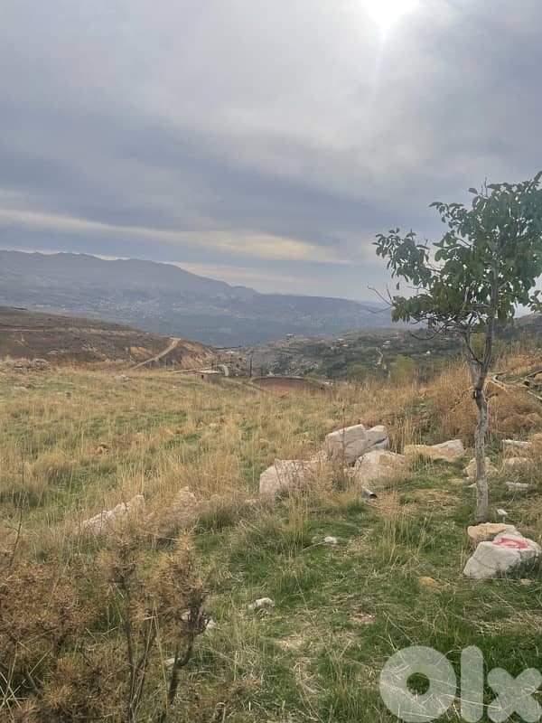 Land for sale at Aintoura el Metn 1