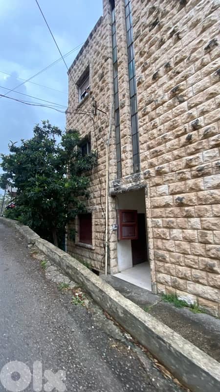 Charming conceptual Stone building with garden 8