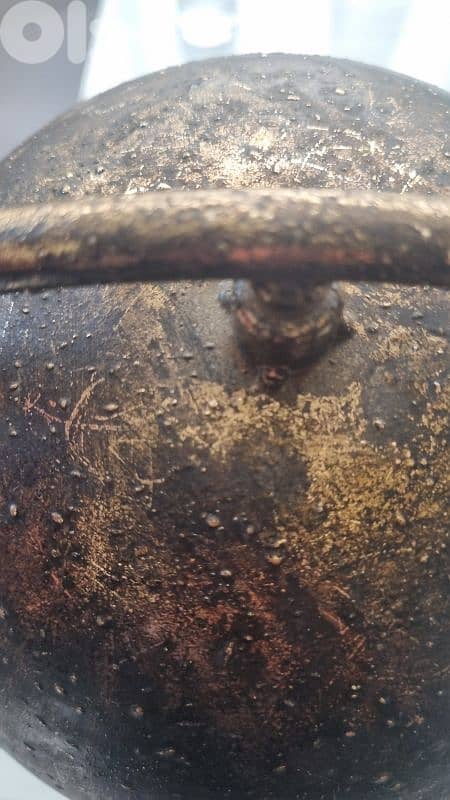 rare exclusive Dutch country field globe 12