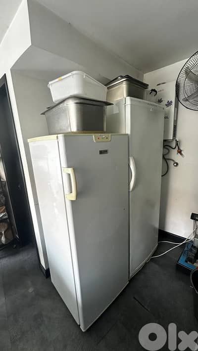 Freezer standing
