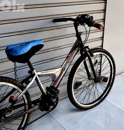Japanese bicycle 24