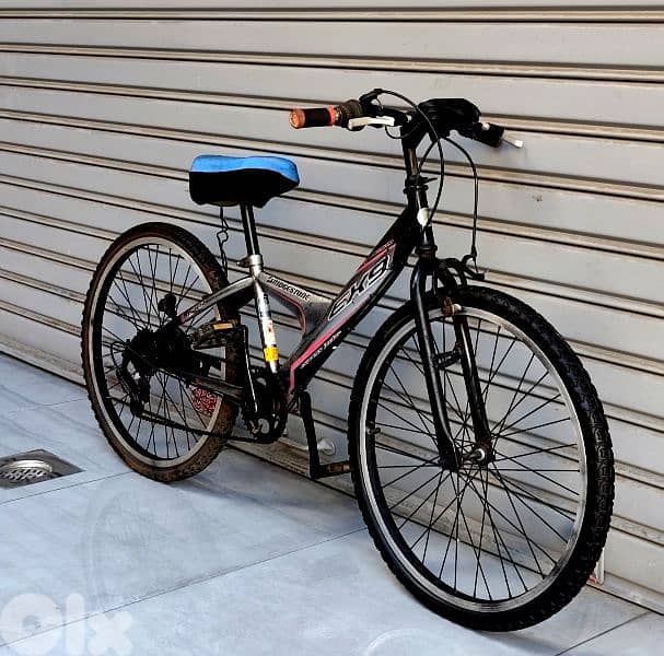 Japanese bicycle 24 1