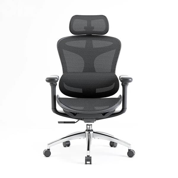 Sihoo Doro C300 ergonomic chair 1