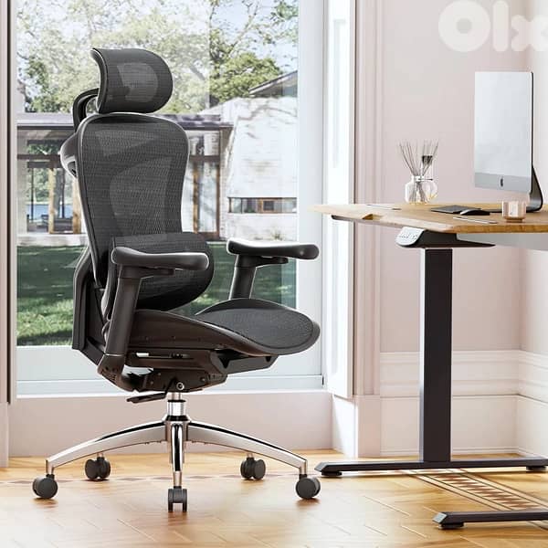 Sihoo Doro C300 ergonomic chair 4