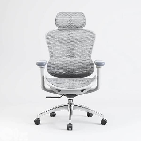 Sihoo Doro C300 ergonomic chair 5