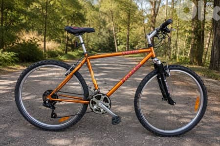 Mountain Bike – $220