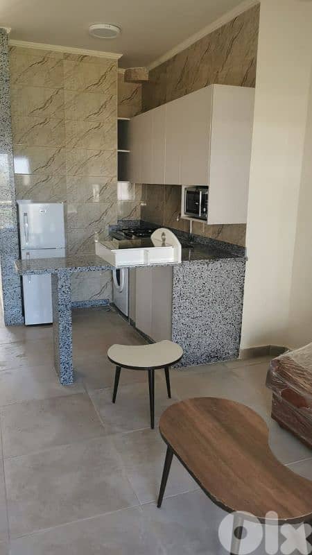Newely renovated chaler for Rent in Palma 1