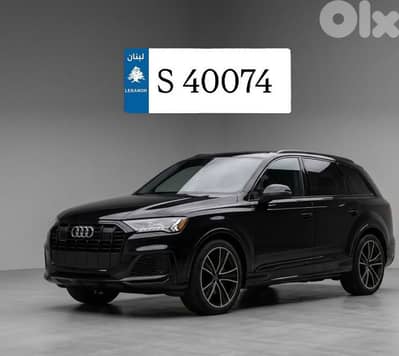 s 40074   76797391
