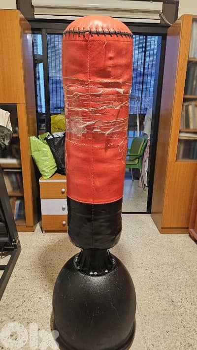 Boxing bag