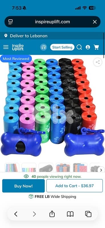 16 rolls bones pattern 2