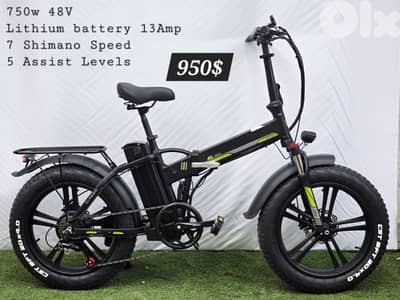 foldable electric bike Fatty New 1000w