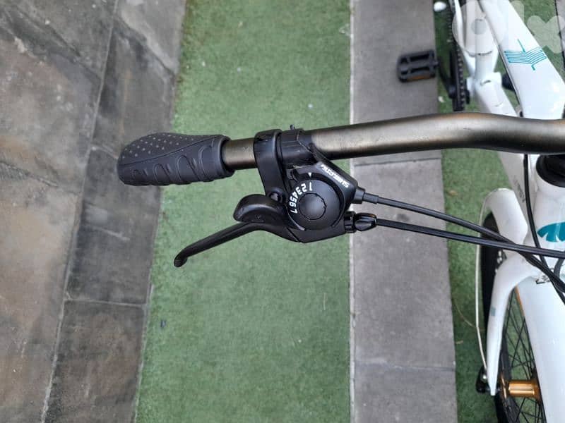 home bike 4
