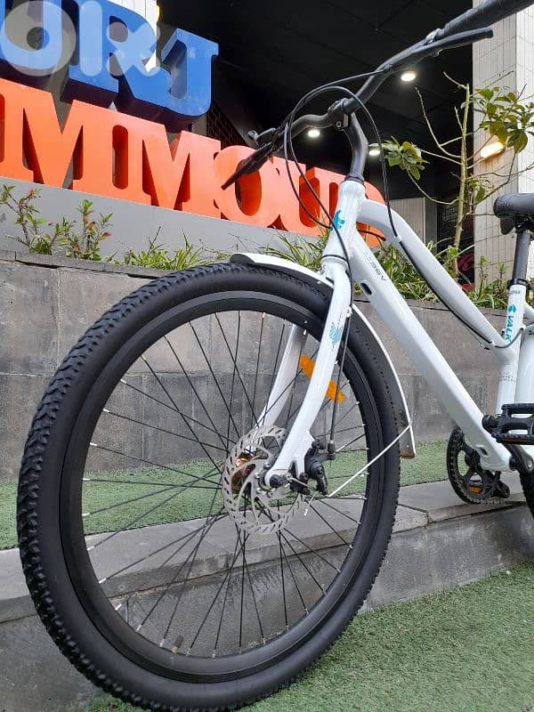 home bike 8